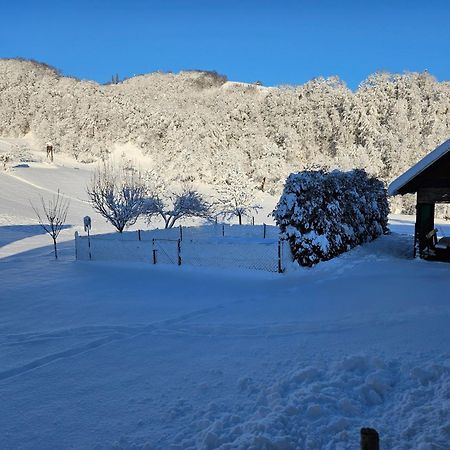 Buce Francek House Podcetrtek 빌라 외부 사진