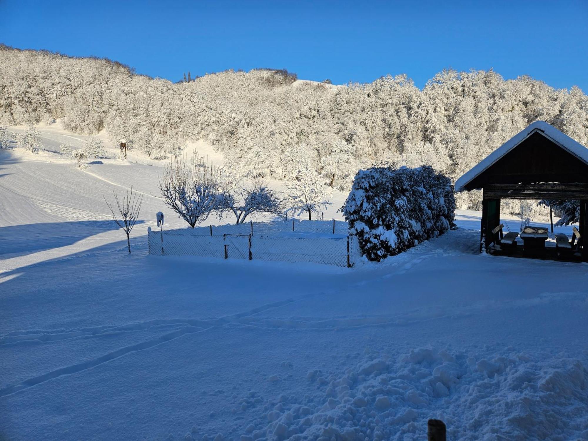 Buce Francek House Podcetrtek 빌라 외부 사진